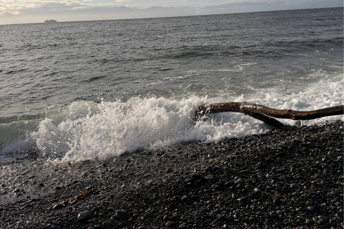 Parts of Greater Victoria coastline warned of coastal flooding this weekend