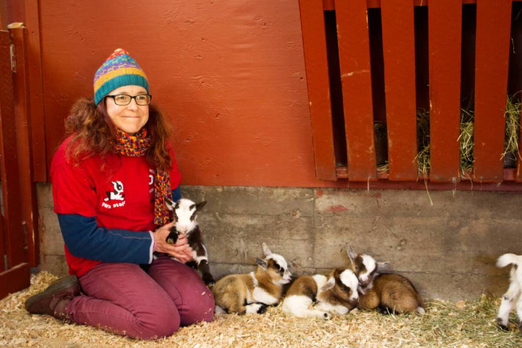 Beacon Hill Children&rsquo;s Farm manager Claudia Laube spends some time with the seven baby goats born this month. Laube said the farm&rsquo;s newest additions will be ready to greet visitors when it opens for the season March 12. (Nishadini Fonseka/Victoria News)